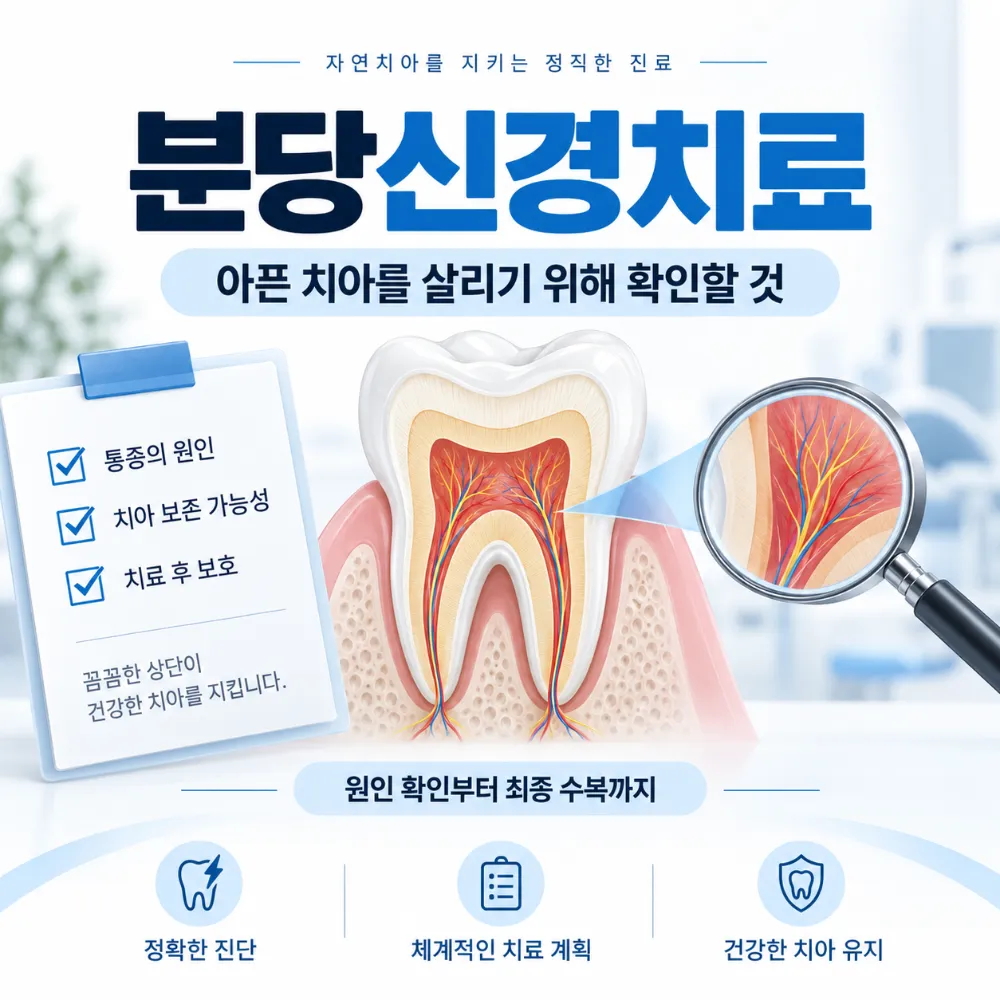 분당신경치료: 아픈 치아를 살리기 위해 확인할 것